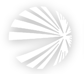 Wiseman Ind. Logo